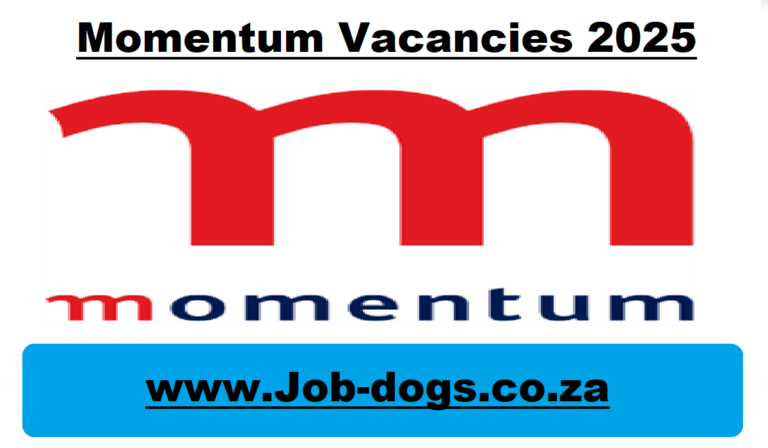 Momentum Vacancies 2025