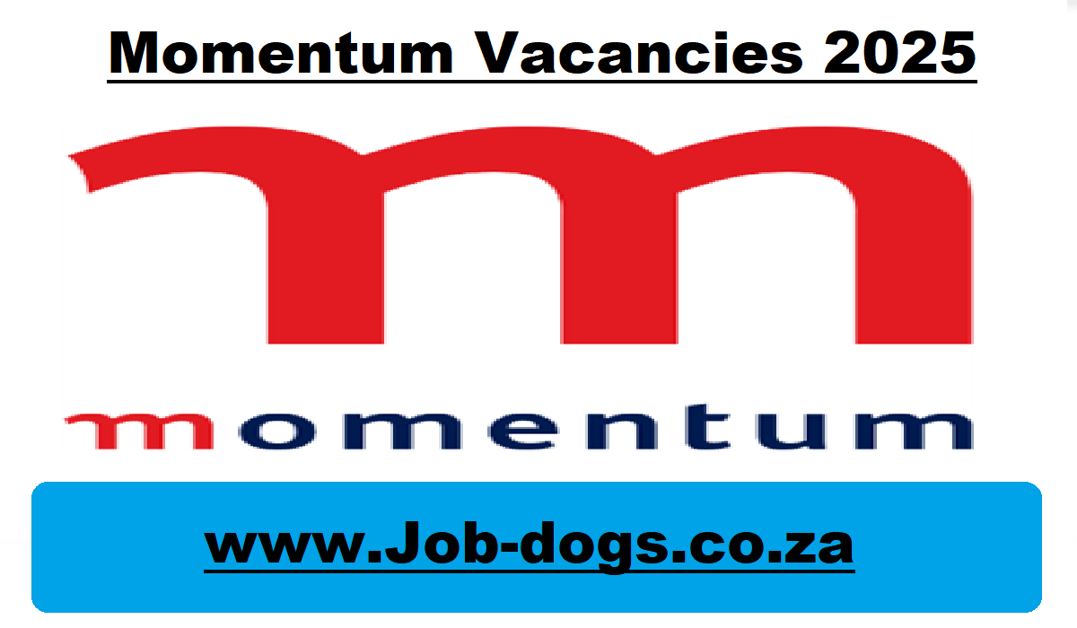 Momentum Vacancies 2025