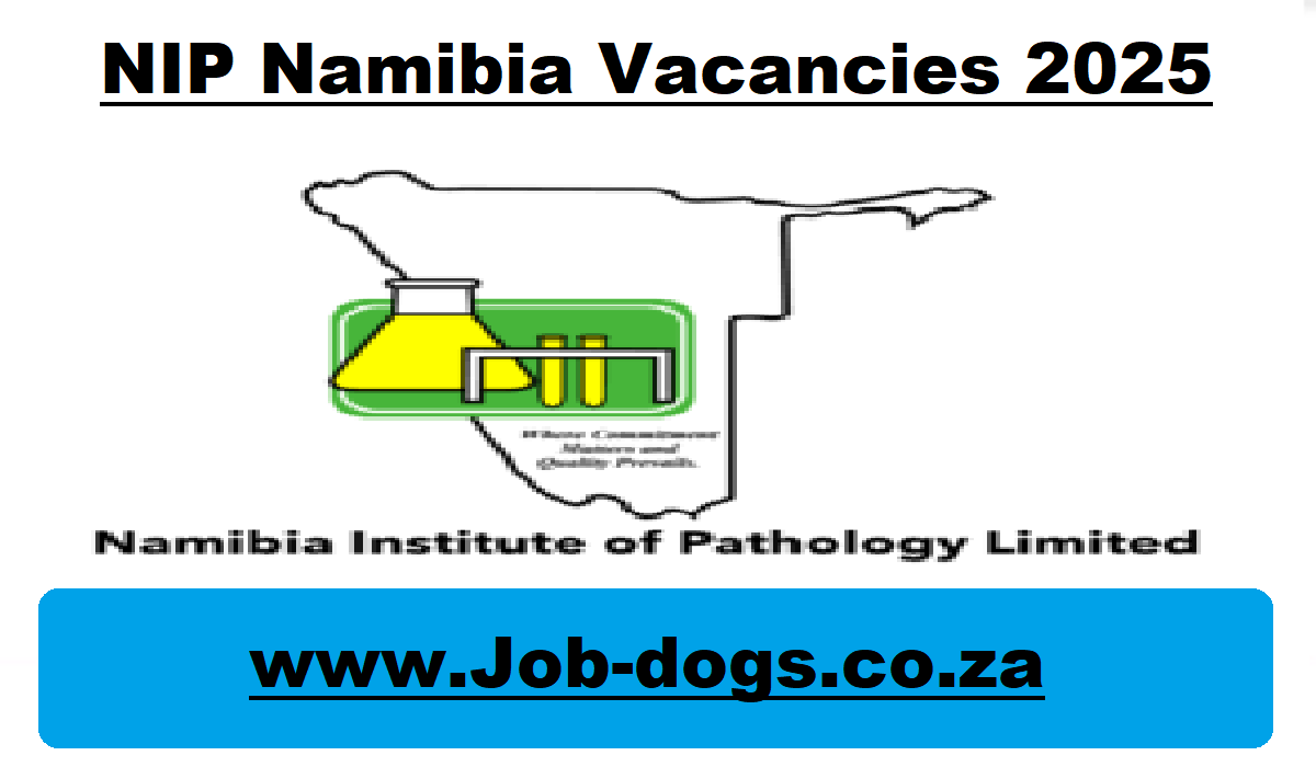 NIP Namibia Vacancies 2025