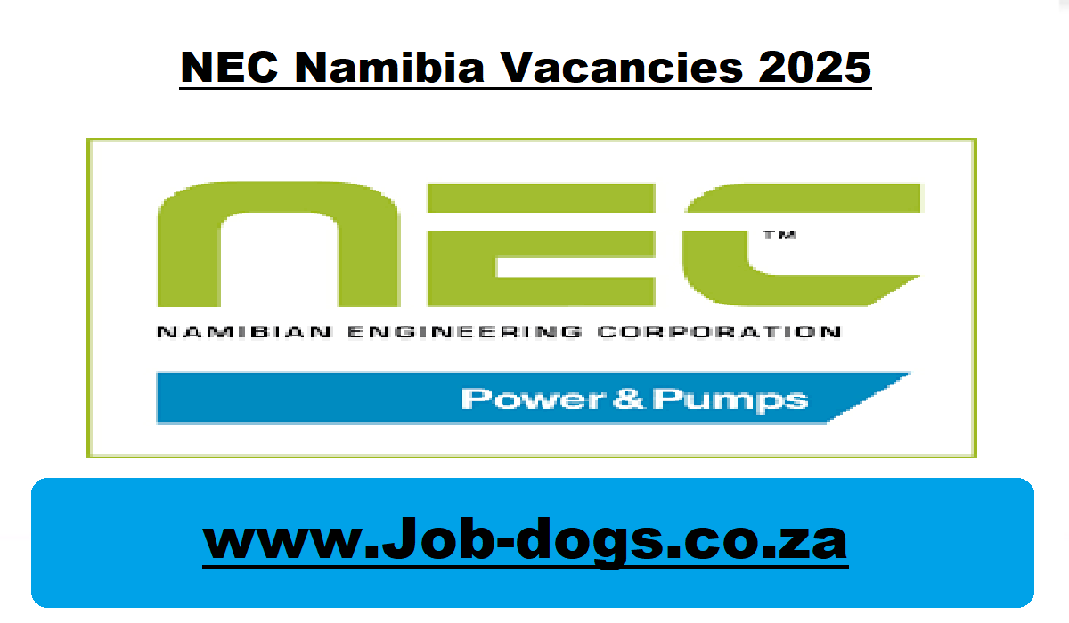 NEC Namibia Vacancies 2025