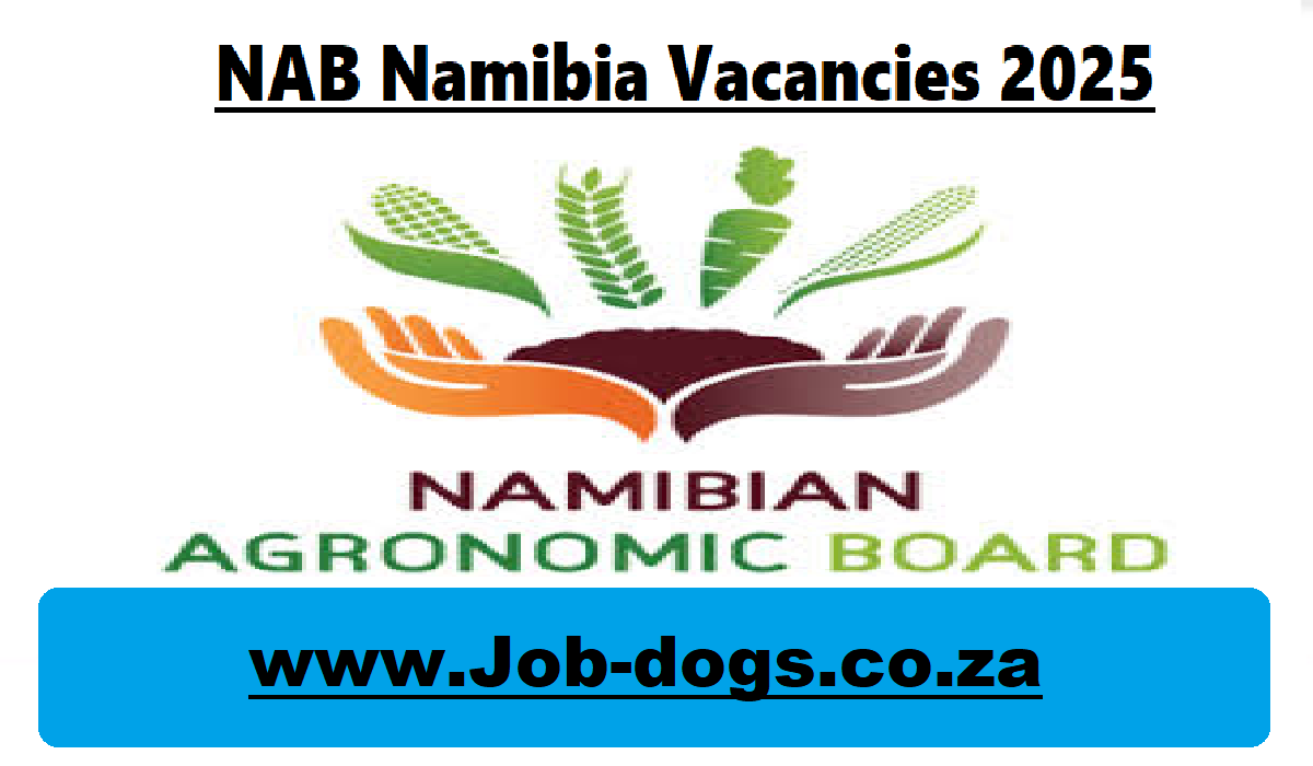 NAB Namibia Vacancies 2025